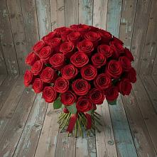 Букет 55 Красных роз Фридом #REPLACE_PRED# Всеволодо-Вильве
