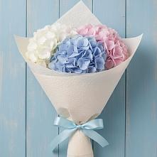 Букет цветов из:  Гортензия #REPLACE_PRED# Всеволодо-Вильве