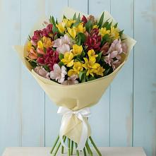 Букет цветов из:  Альстромерии #REPLACE_PRED# Всеволодо-Вильве